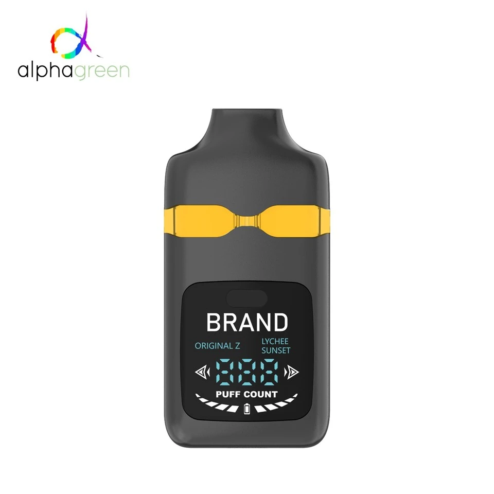 Dual Tank Disposable Vape With LCD Screen & USB-C | 400mAh E-Cigarette factory
